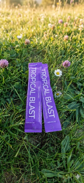 Berry Blast - Berry Flavor 30