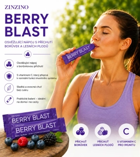 Berry Blast - Berry Flavor 30
